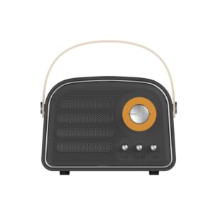 ANTIQ SPEAKER – Compact High-Quality Loudspeaker with Timeless Design for Crisp, Immersive Audio